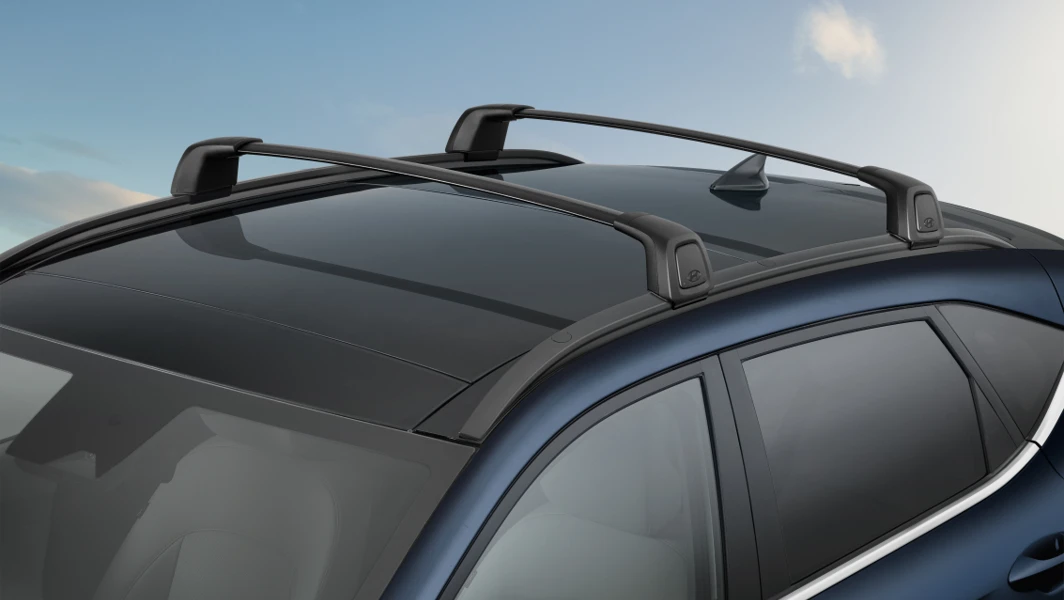 KONA Elektro Dachträger